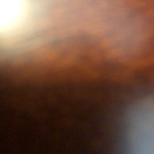 Meet your Posher, Randal